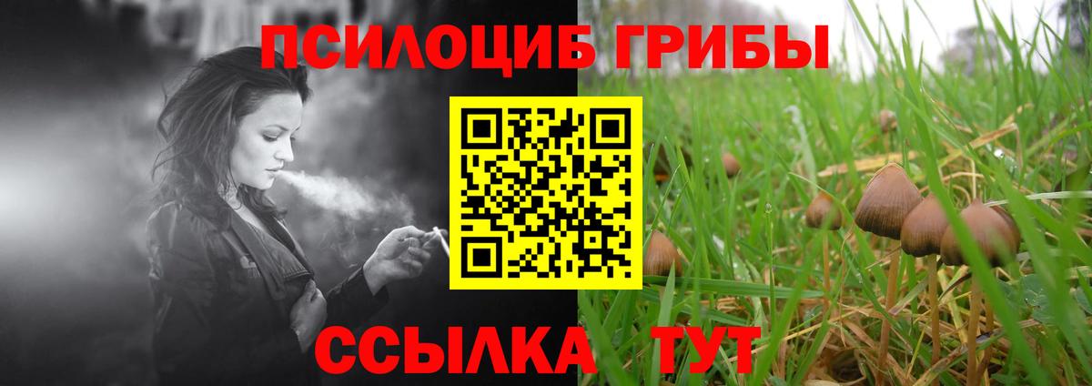 Псилоцибиновые грибы Psilocybine cubensis Кирово-Чепецк